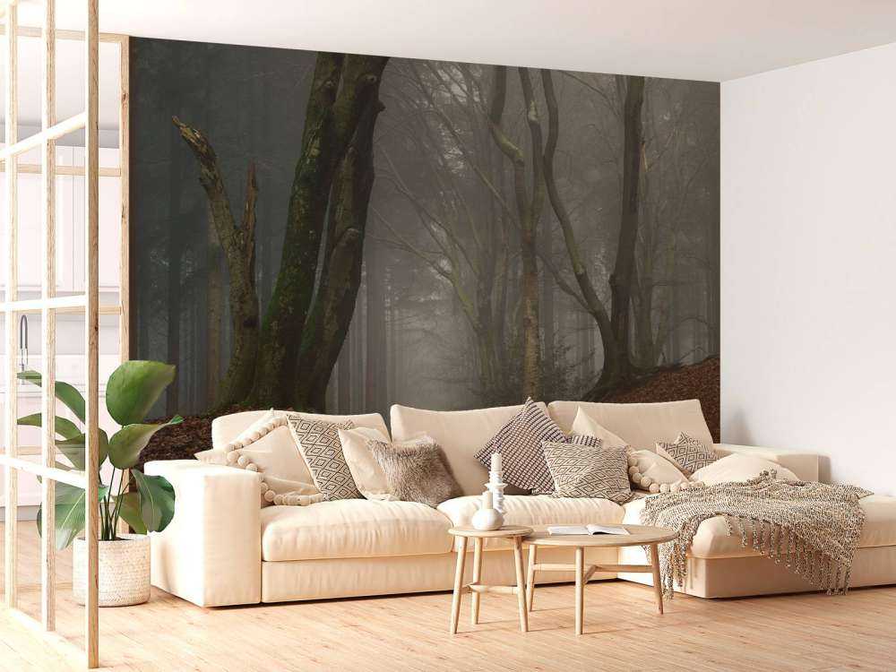 Ścieżka przez tajemniczy las