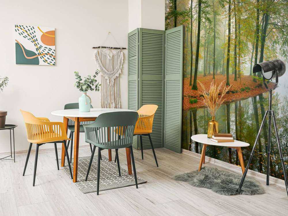 Odbicie drzew w stawie