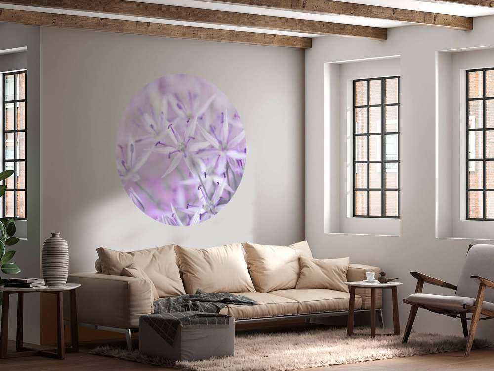 Zbliżenie na kwiaty allium