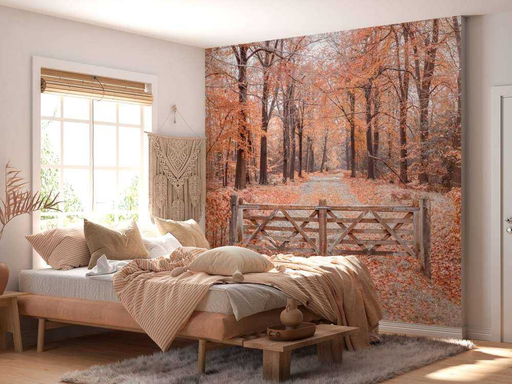 Przejście do jesiennego lasu