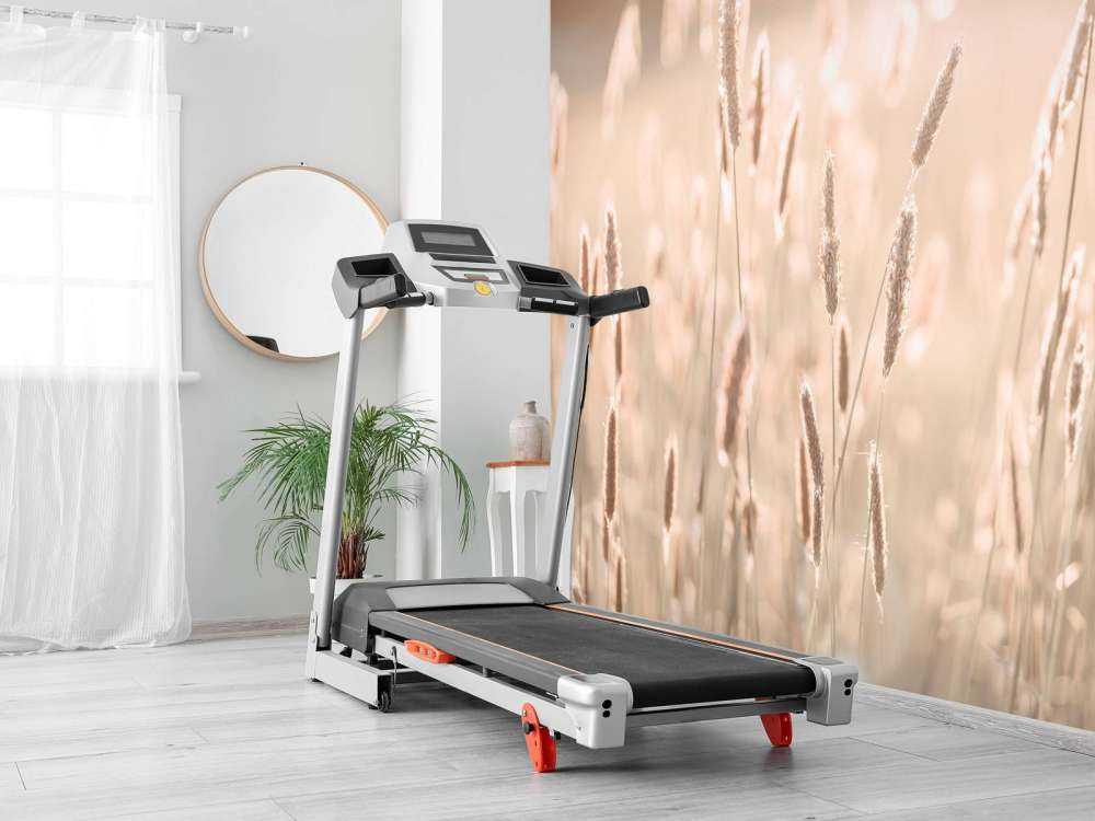 Światło słoneczne przez łąkę