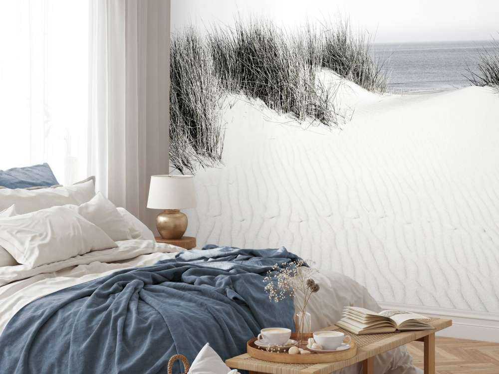 Przejście z wydmy na plażę czarno-białe