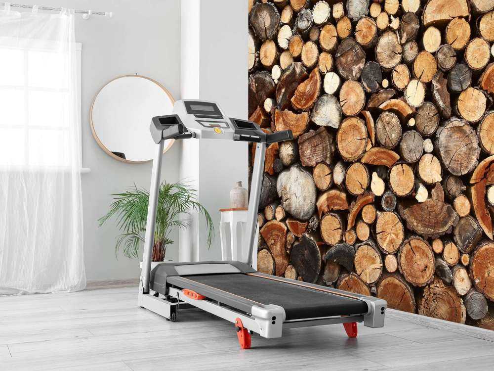 Pnie drzew ułożone w stosy