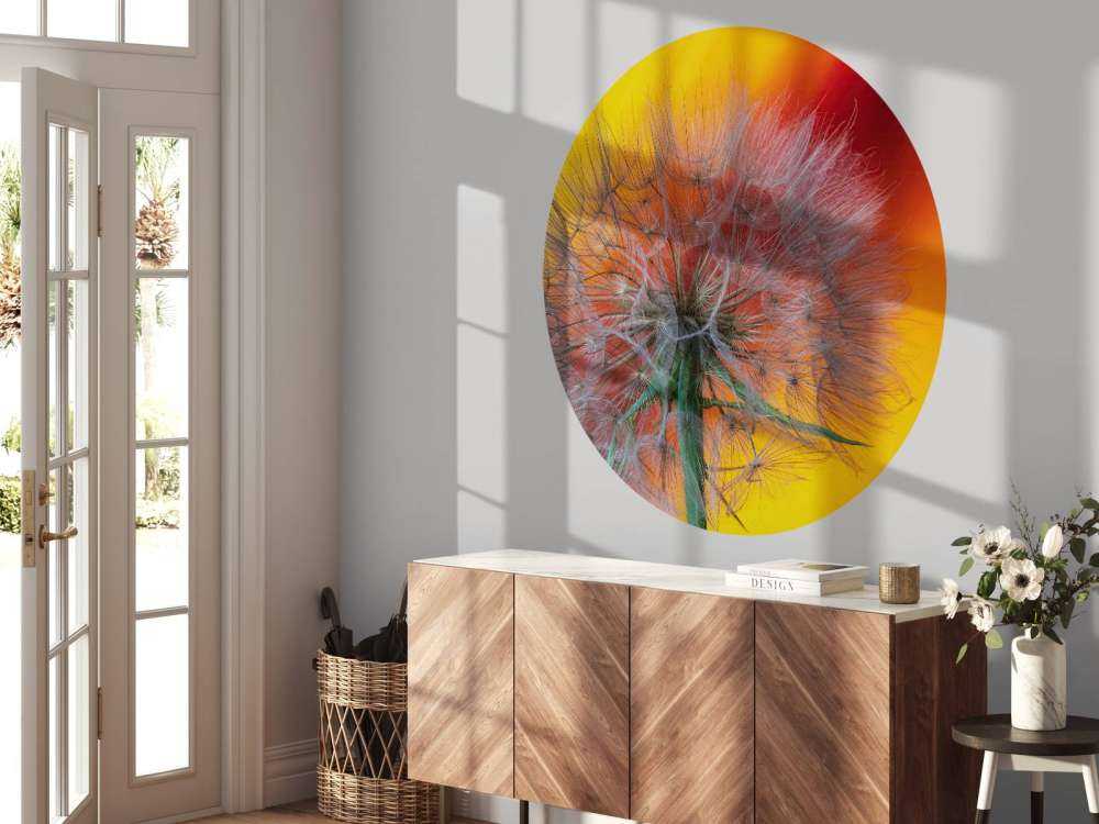 Zbliżenie na mniszka lekarskiego