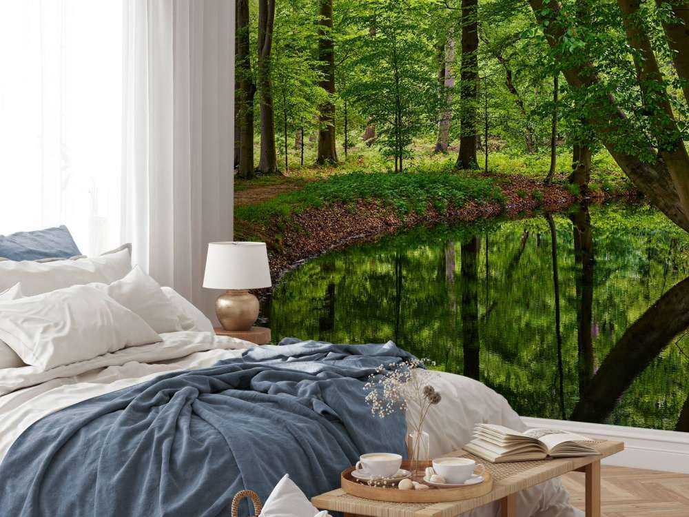 Wygięte drzewa w pobliżu wody