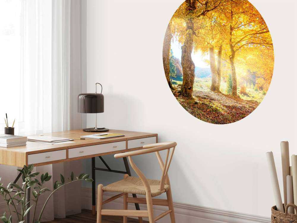 Ciepły jesienny krajobraz