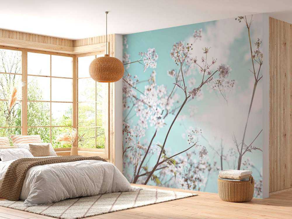 Kwiat migdałowca w słońcu