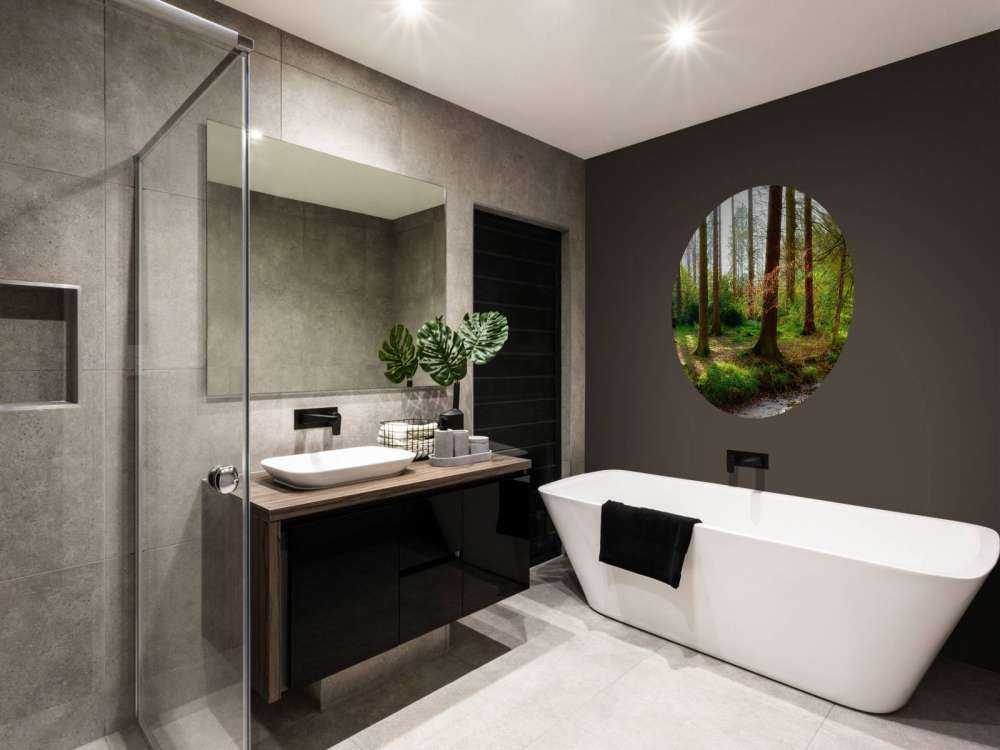 Jesienny las z jasnym światłem słonecznym