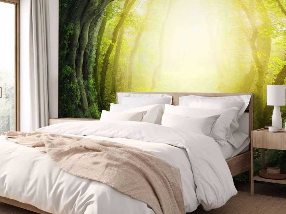 Kamienna ścieżka przez las