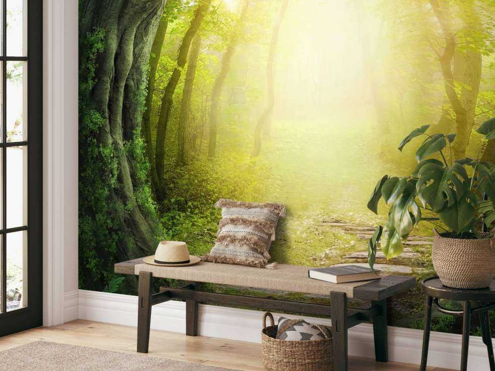 Kamienna ścieżka przez las