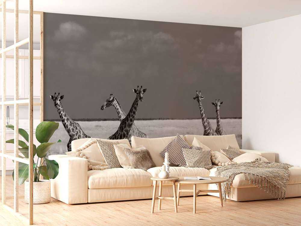 Look Girl Strange Animals