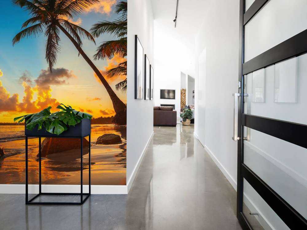 Zachód słońca z palmami