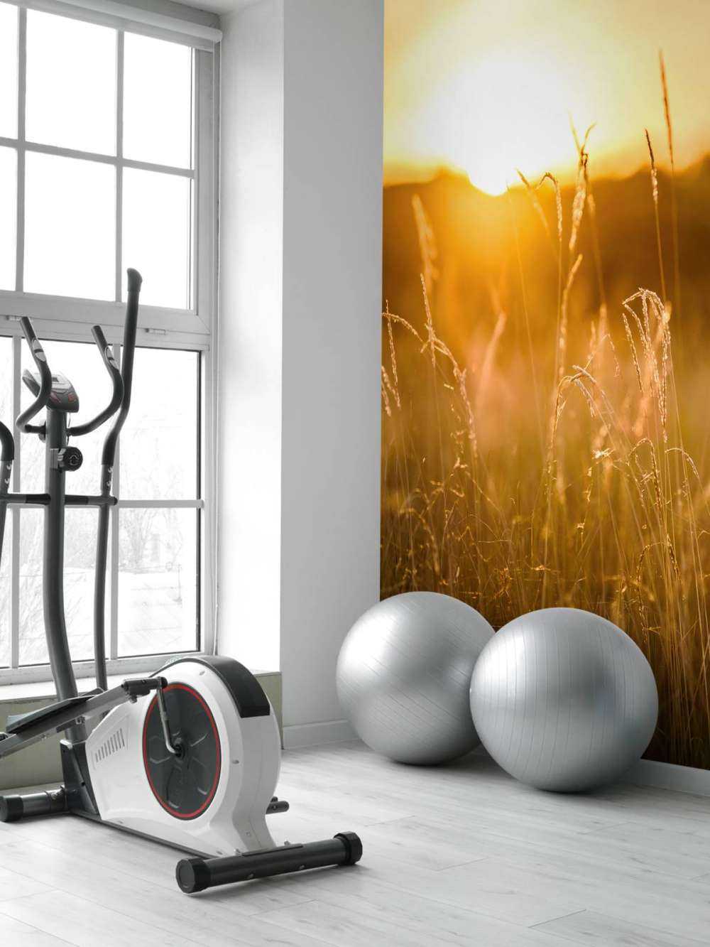 Zachód słońca między ziarnami