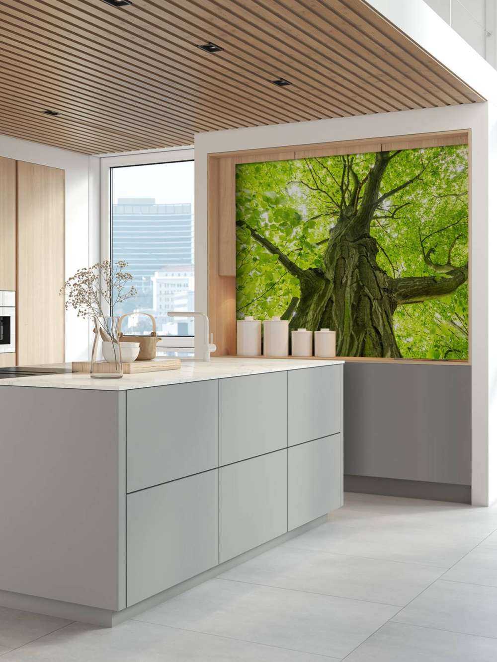 Duże drzewo w lesie