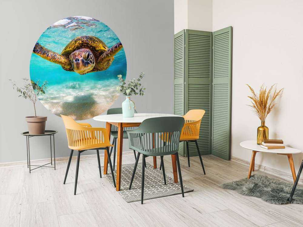 Żółw morski w oceanie