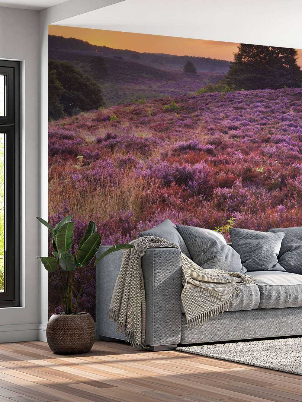 Zachód słońca w banku centralnym