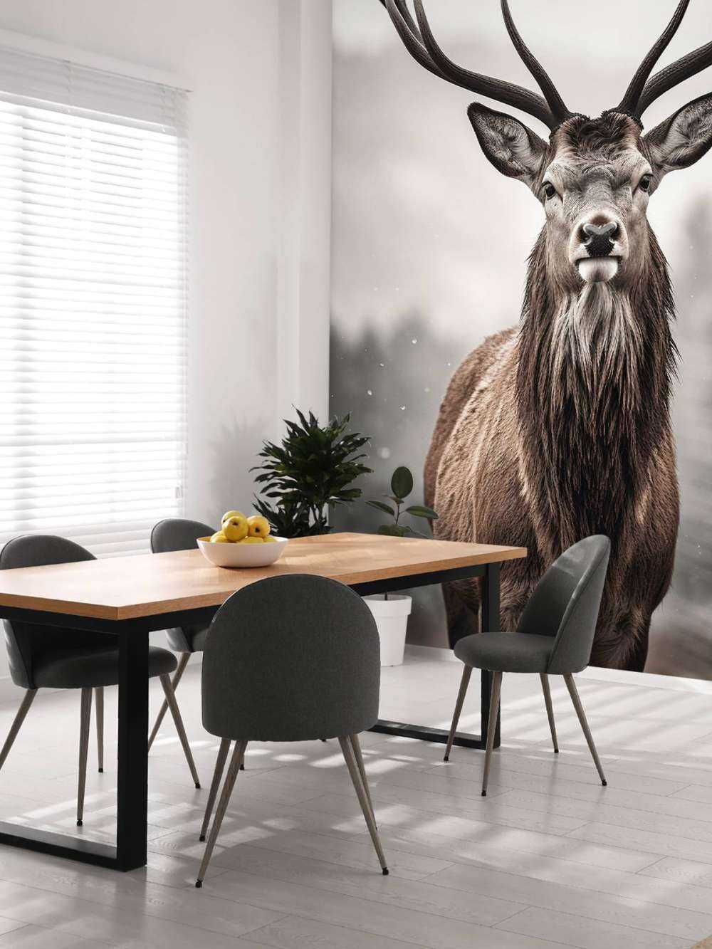 Spojrzenie zimowego króla jeleni