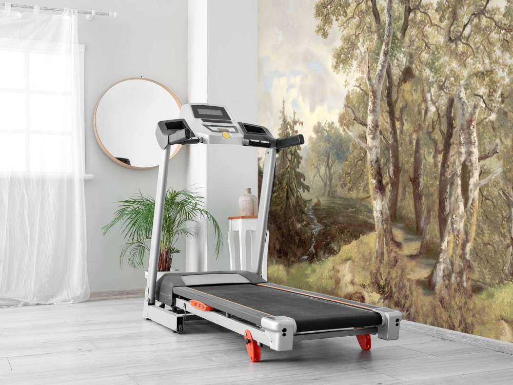 Panorama Kolorowego Krajobrazu Leśnego