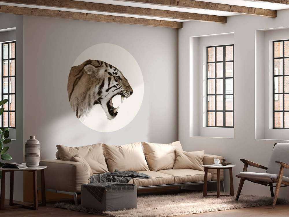 Ryczący tygrys offwhite