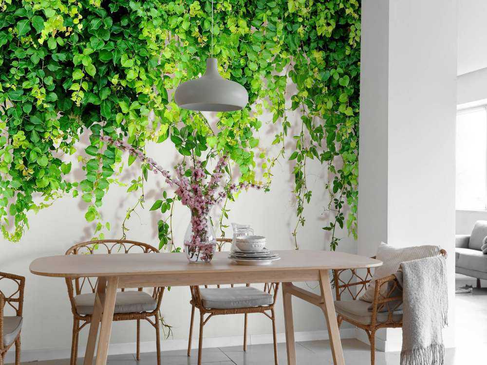 Zielone zwisające gałęzie