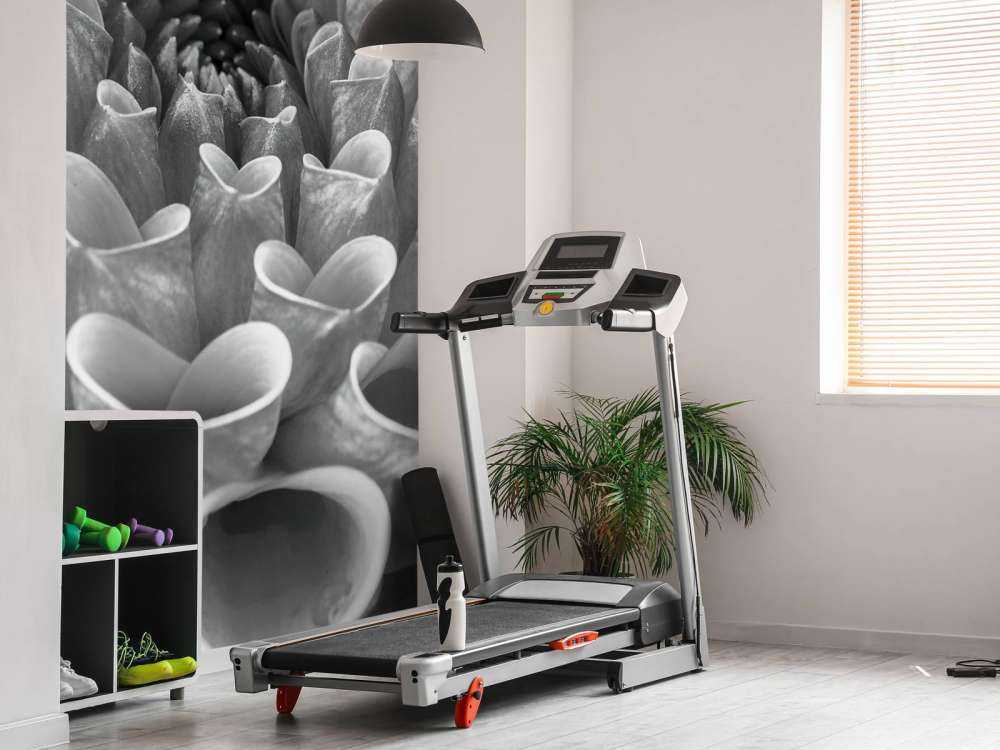 Zbliżenie na dalię