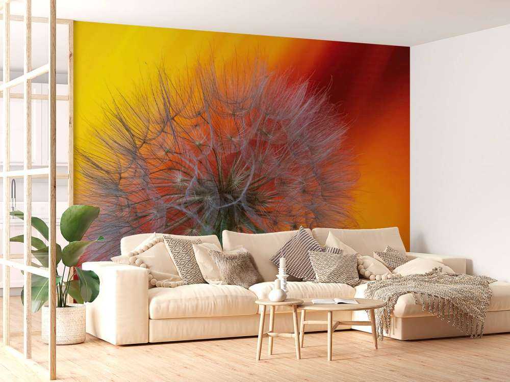 Zbliżenie na mniszka lekarskiego