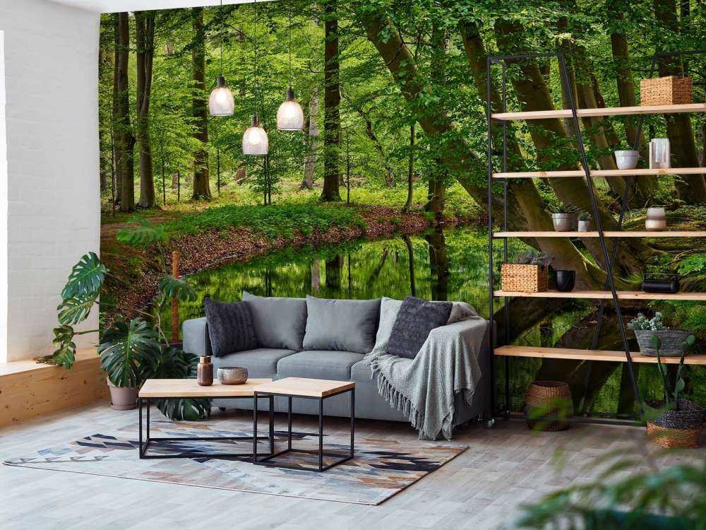 Wygięte drzewa w pobliżu wody