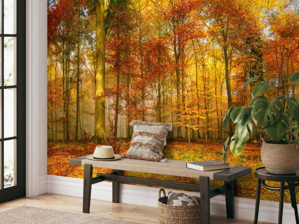 Kolorowa panorama lasu