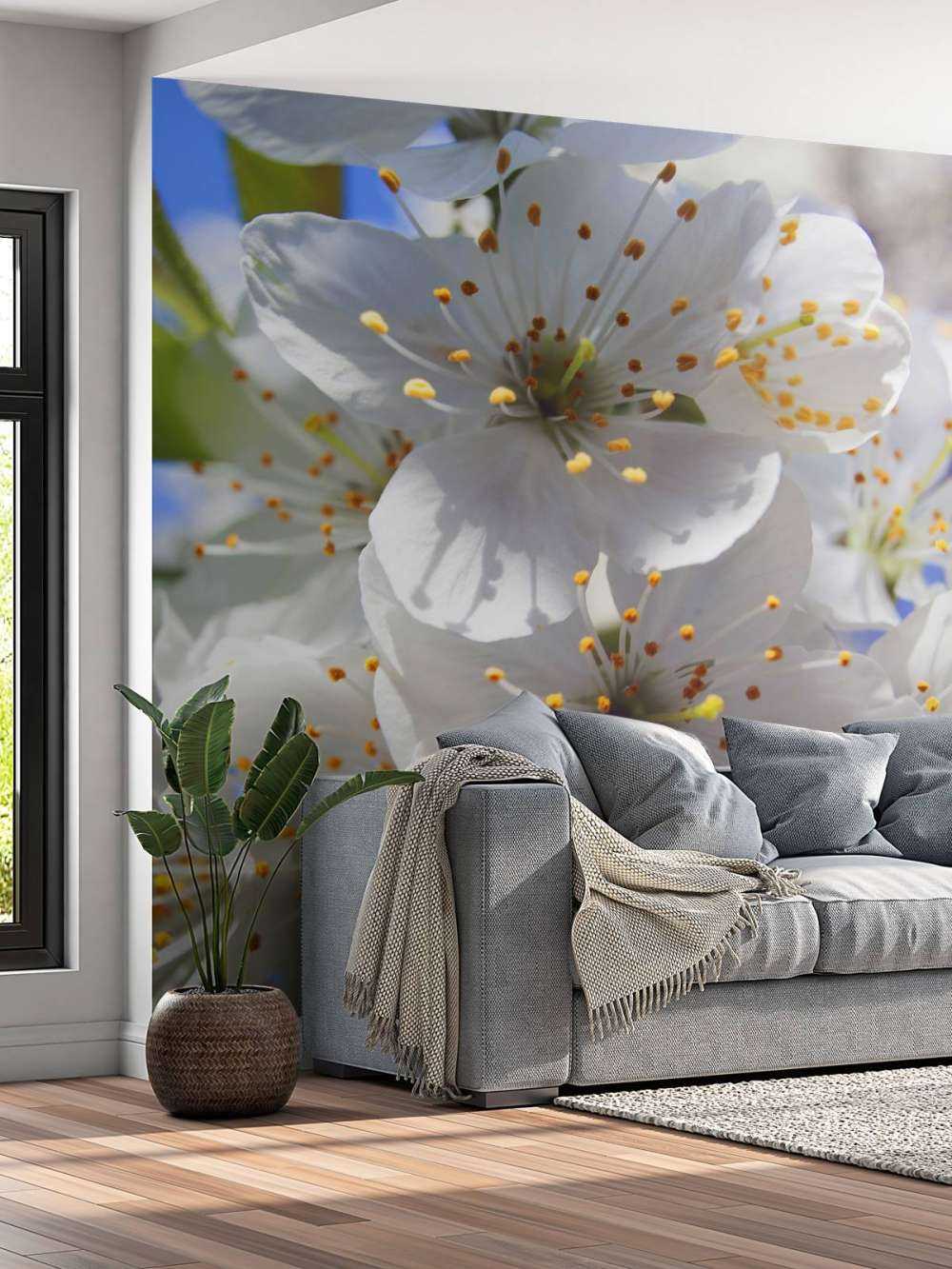 Zbliżenie na białe kwiaty