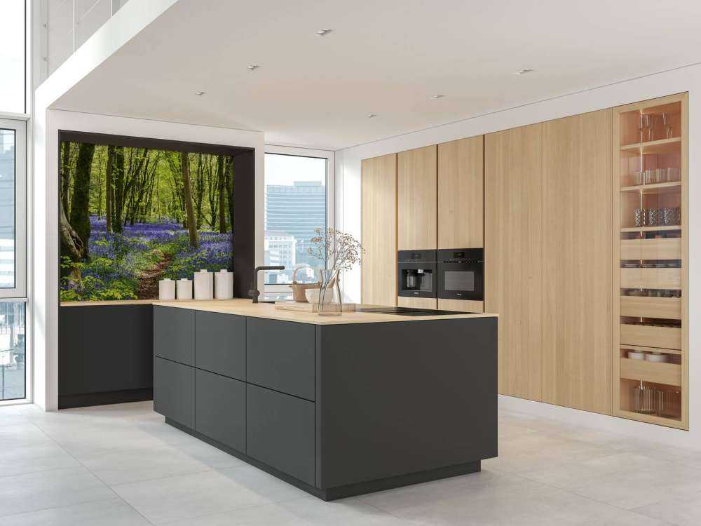 Las w blasku słońca