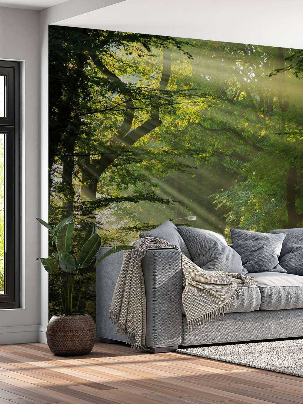 Promienie słońca przez drzewa