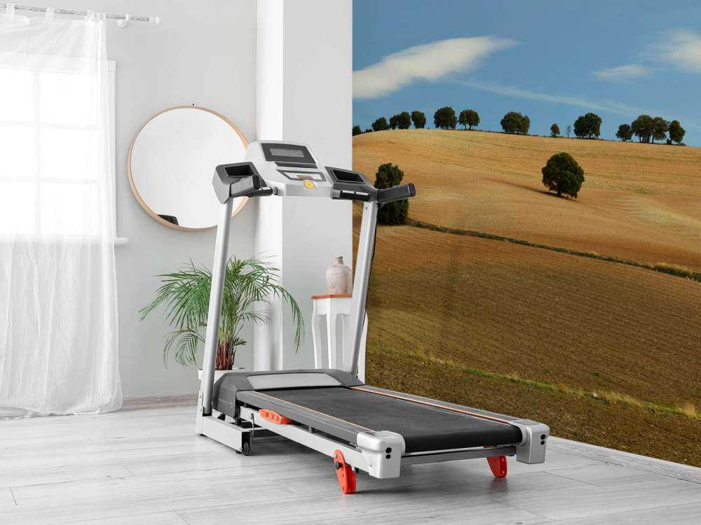 Drzewa w hiszpańskim krajobrazie