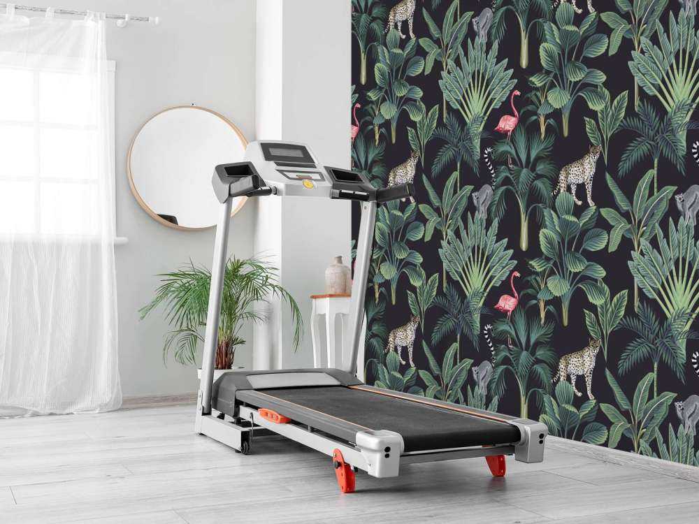 Tropikalne dzikie zwierzęta