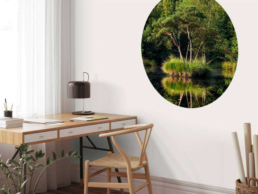 Wyspa w jeziorze leśnym