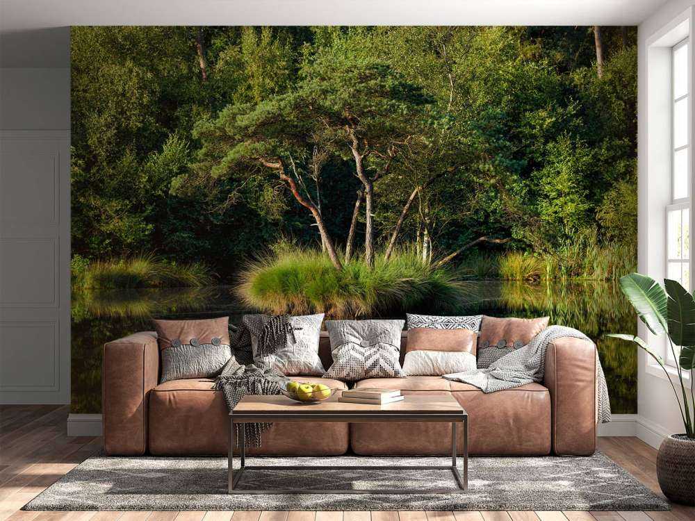 Wyspa w jeziorze leśnym