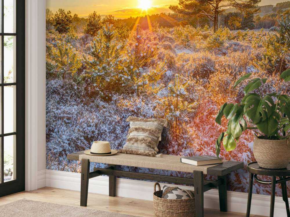 Zimowy zachód słońca