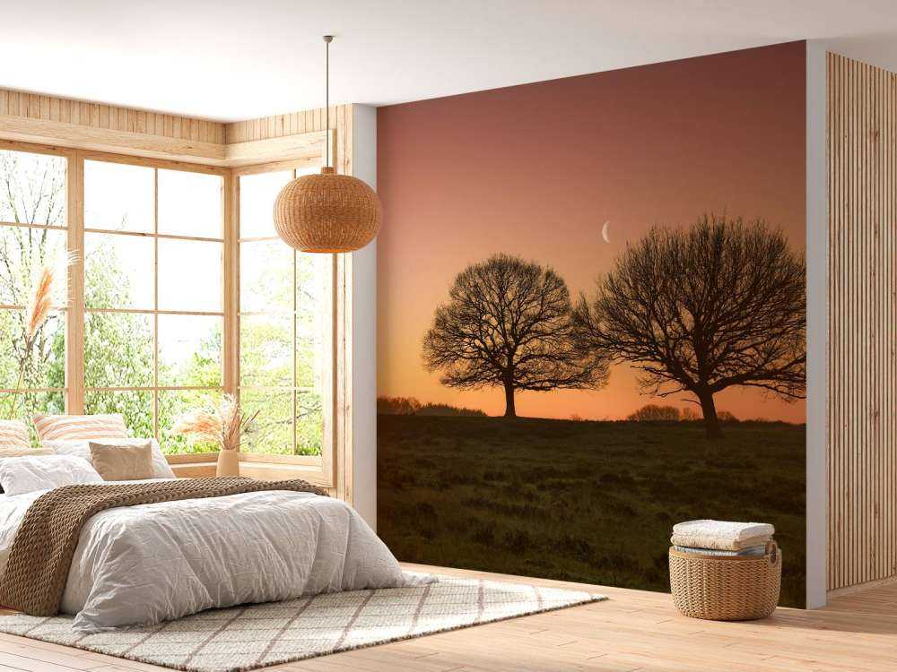 Księżyc między drzewami