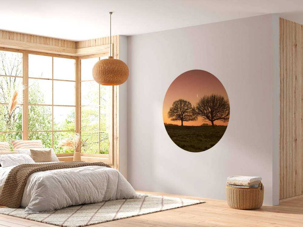 Księżyc między drzewami