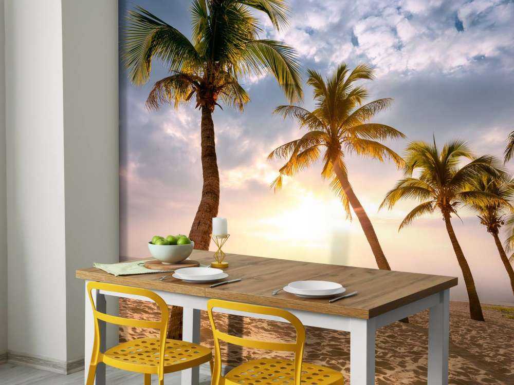 Palmy kokosowe na tle zachodzącego słońca