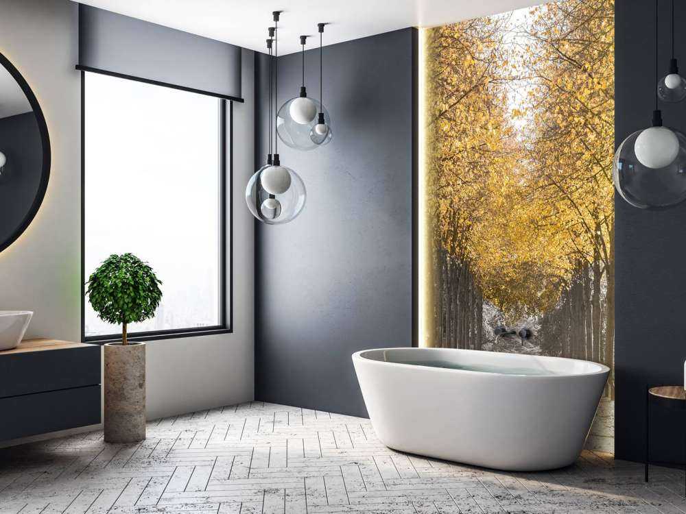 Ścieżka wśród drzew