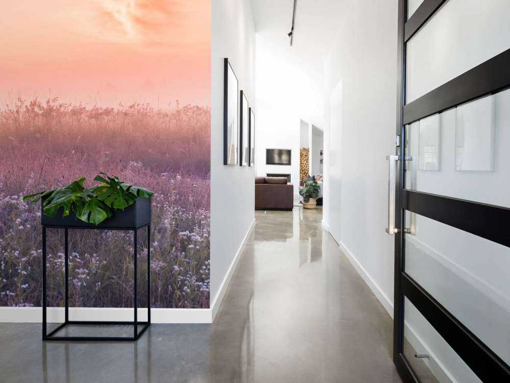 Pole z poranną mgłą