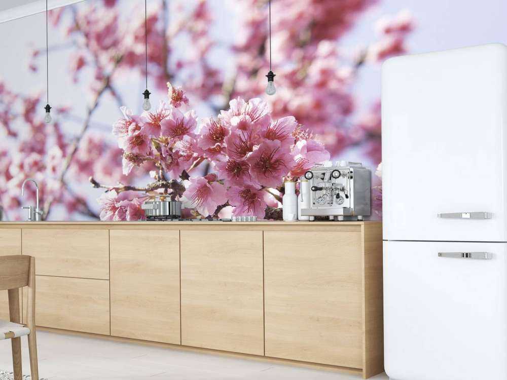 Zbliżenie na różowego kwiatka