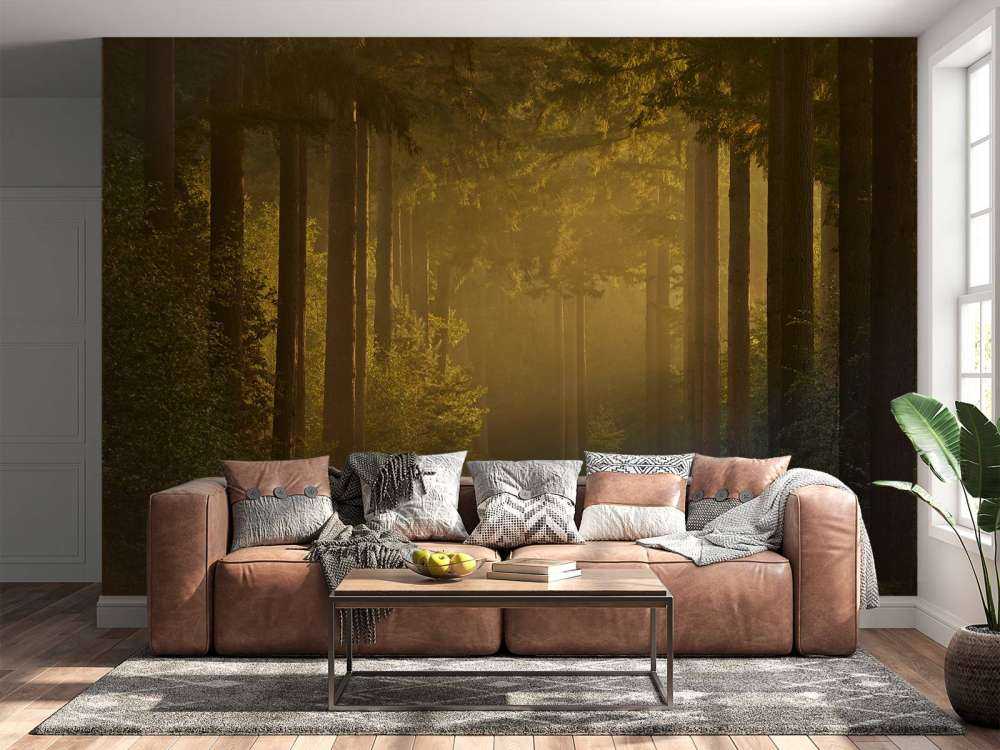 Wschód słońca w drodze przez las