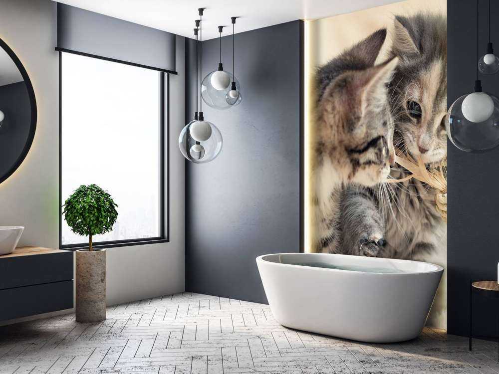 Bawiące się kocięta