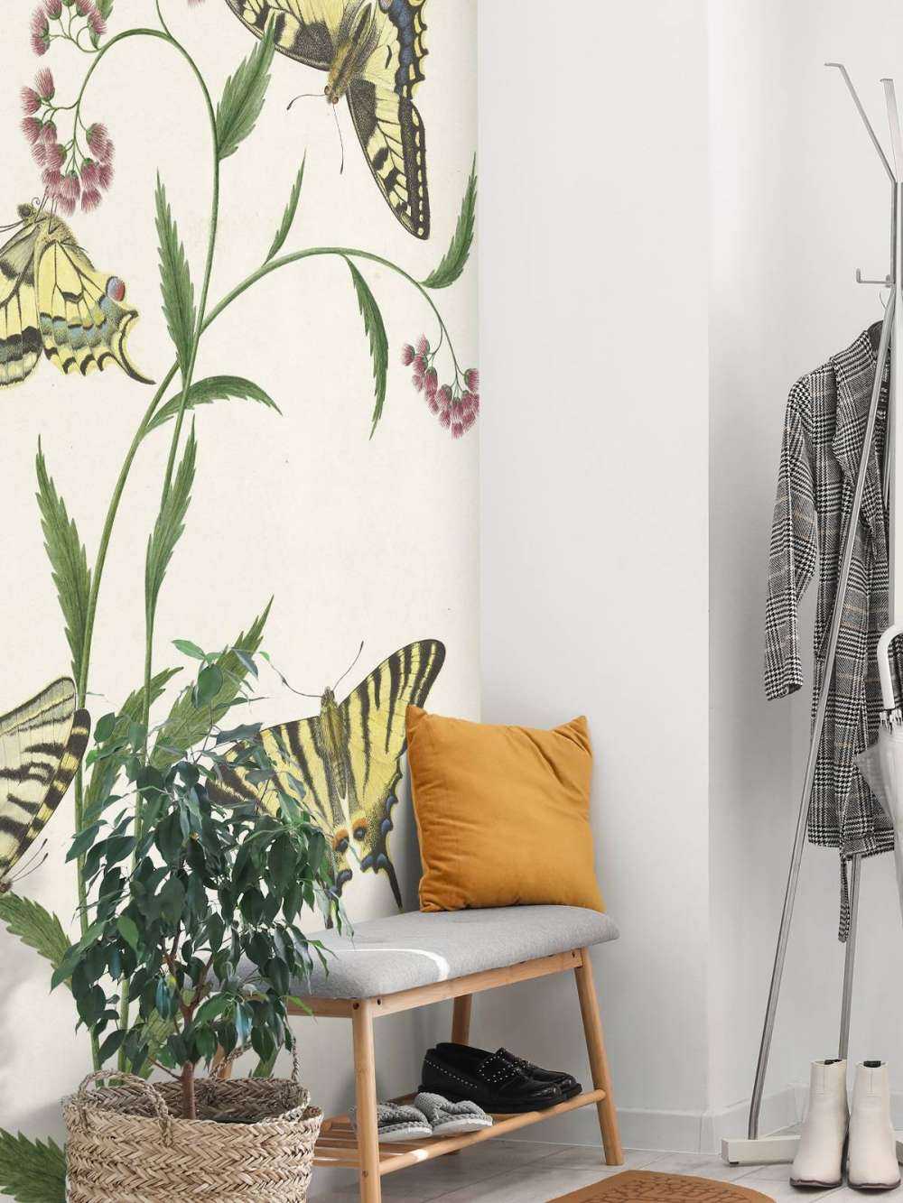 Cztery motyle na kwiatach, Paulus Knogh