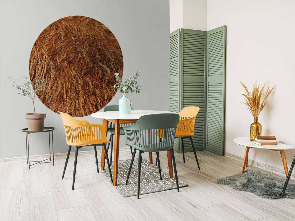 Szkocka sierść wyżynna w stylu vintage 