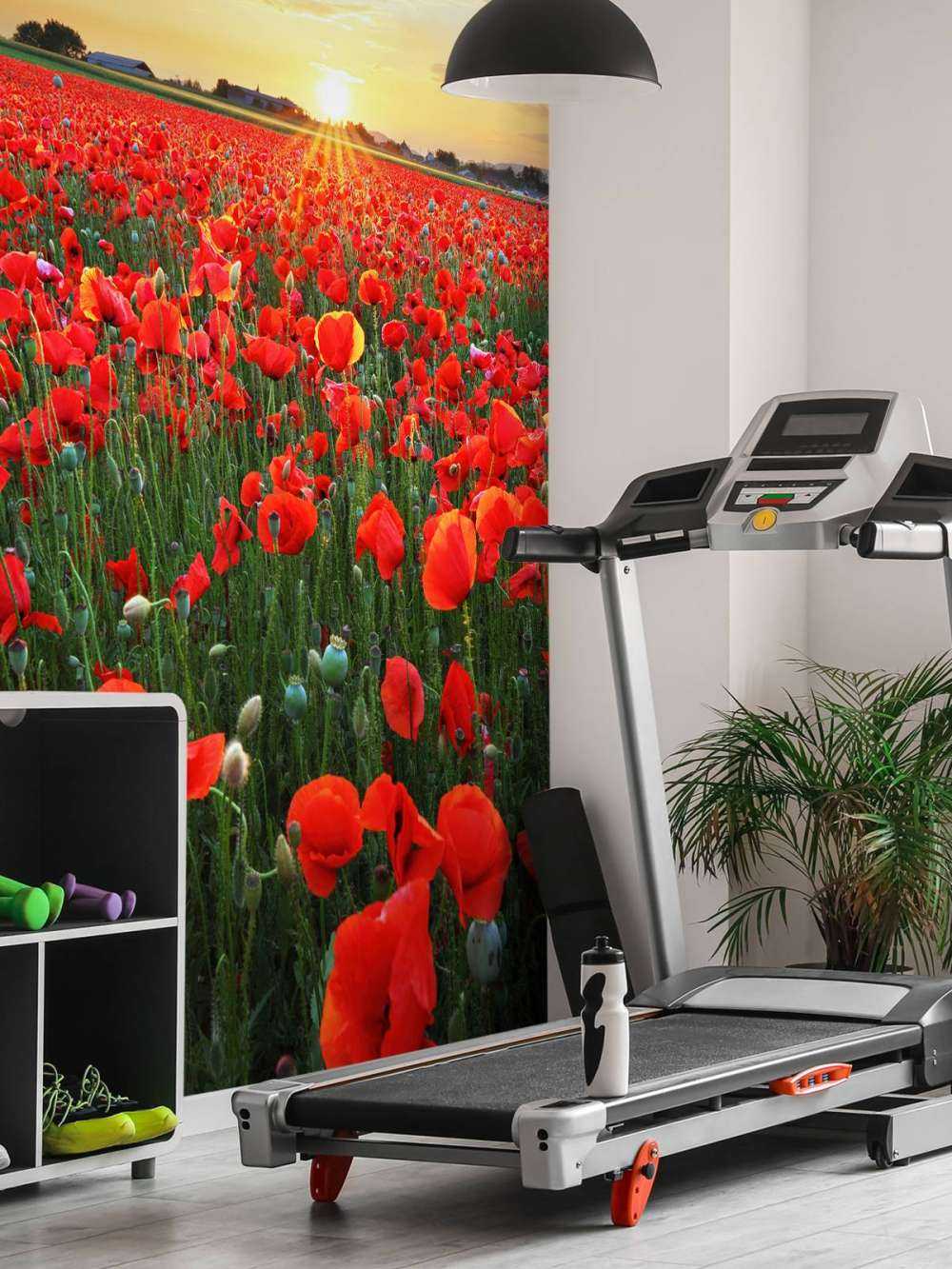 Maki o zachodzie słońca