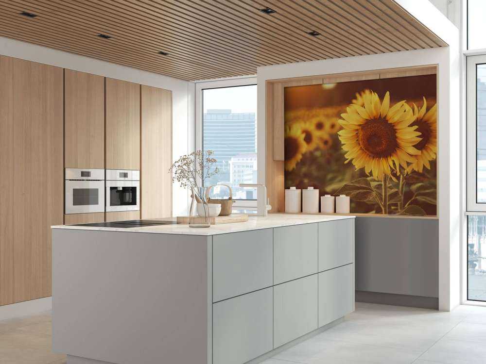 Słoneczniki w świetle słonecznym