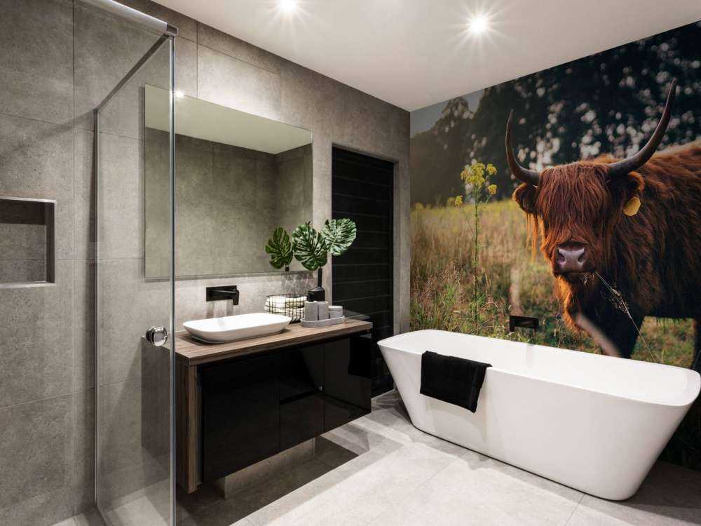 Szkocki wyżyn w wysokiej trawie