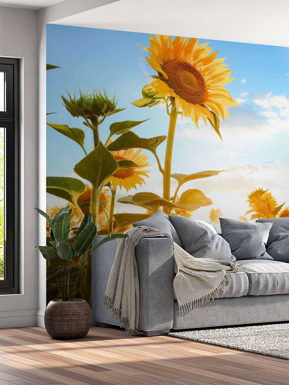 Słonecznik z błękitem nieba